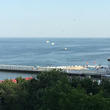 квартира в аркадии *